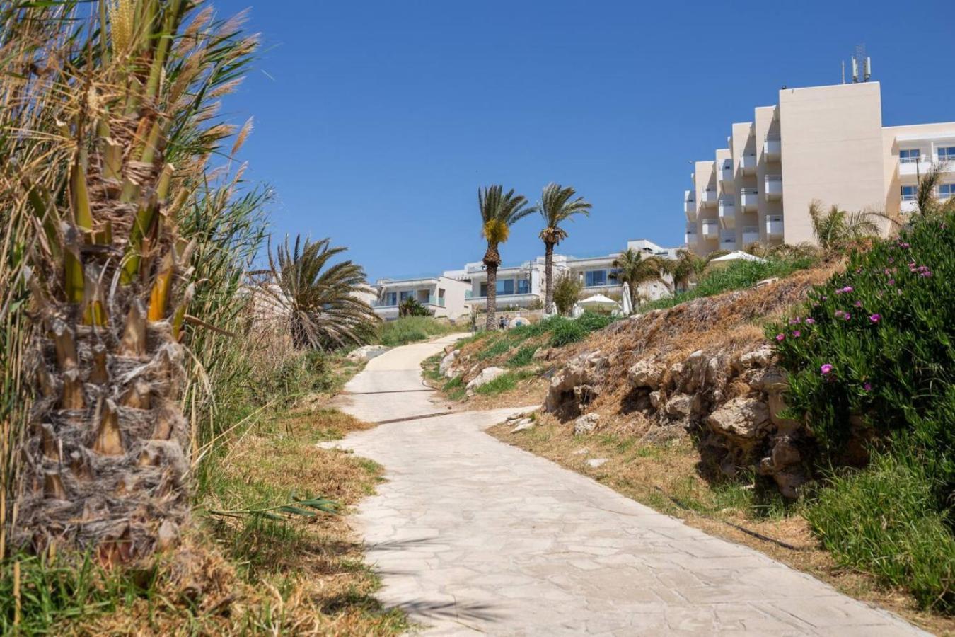 Townhouse Olivia Paphos